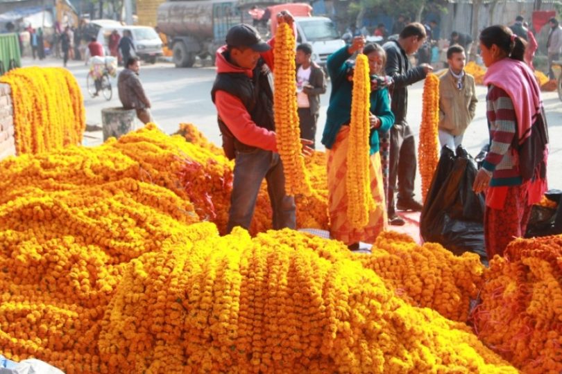 फूलको व्यापार बढ्यो
