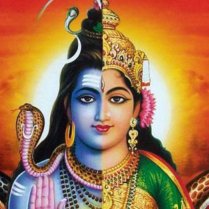 ‘अर्धनारीश्वर’को मूर्ति स्थापना गरिँदै