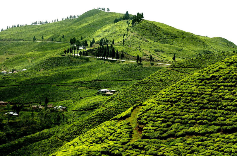 इलामका पर्यटकीयस्थल सुनसान