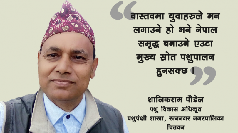 लगनशील भई पशुपालनमा लागे विदेशन जानै पर्दैन