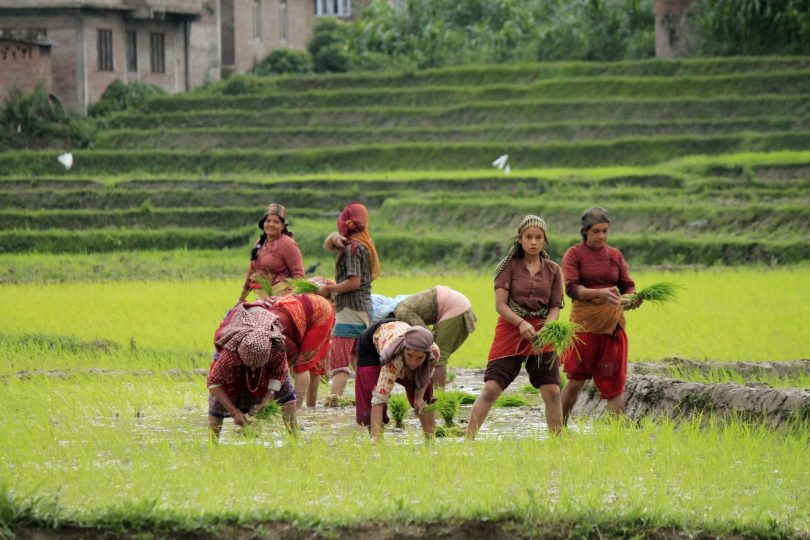 कृषि प्रधान देशका कुनै संबिधान भएनन् कृषकमैत्री