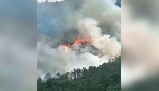 हवाईजहाज दुर्घटना भएसँगै चीनमा बोइङ ७३७ मोडलका सबै जहाज ‘ग्राउन्डेड’