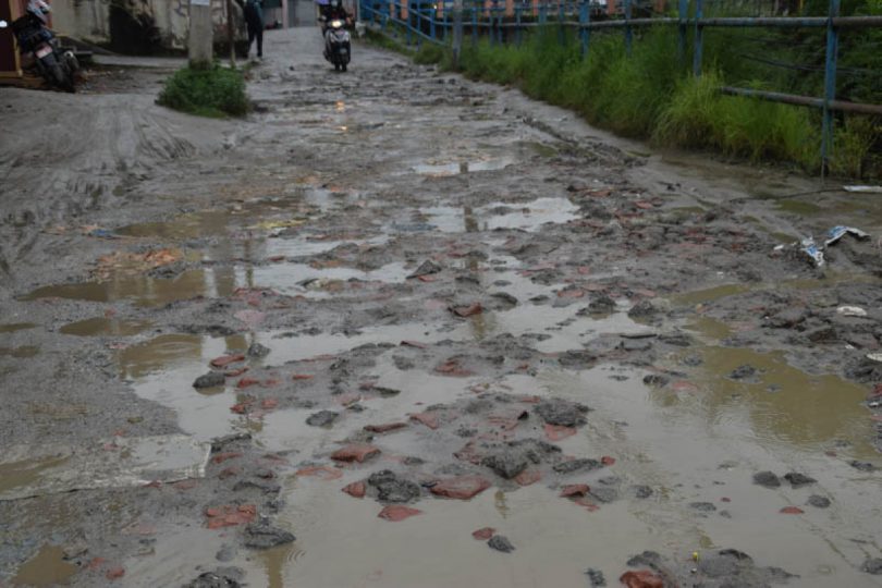 Locals plant rice on muddy road in protest      