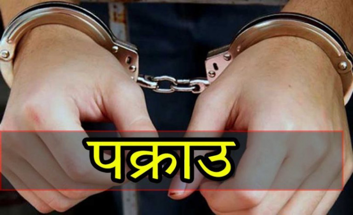 विभिन्न देशमा पठाइदिन्छु भनी ठगी गर्ने पक्राउ