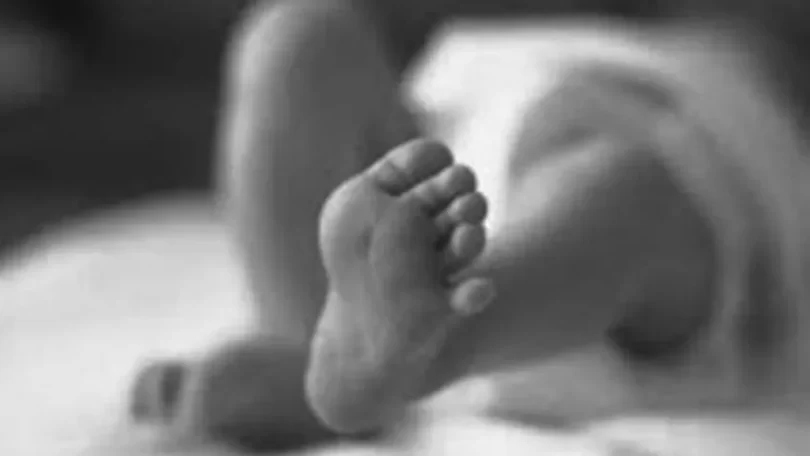 झापाको पालिया खोलामा शिशुको शव फेला