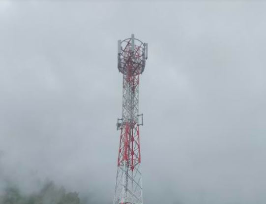 निरन्तर घट्दो नाफाले टेलिकम सेवा दायकहरू सङ्कटतर्फ