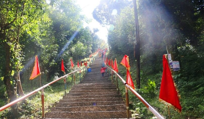 किला ठोक्दा पाथीभरा क्षेत्रका बोटबिरुवा नासिँदै