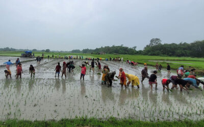 देशभरका २६ लाख किसानको सूचीकरण