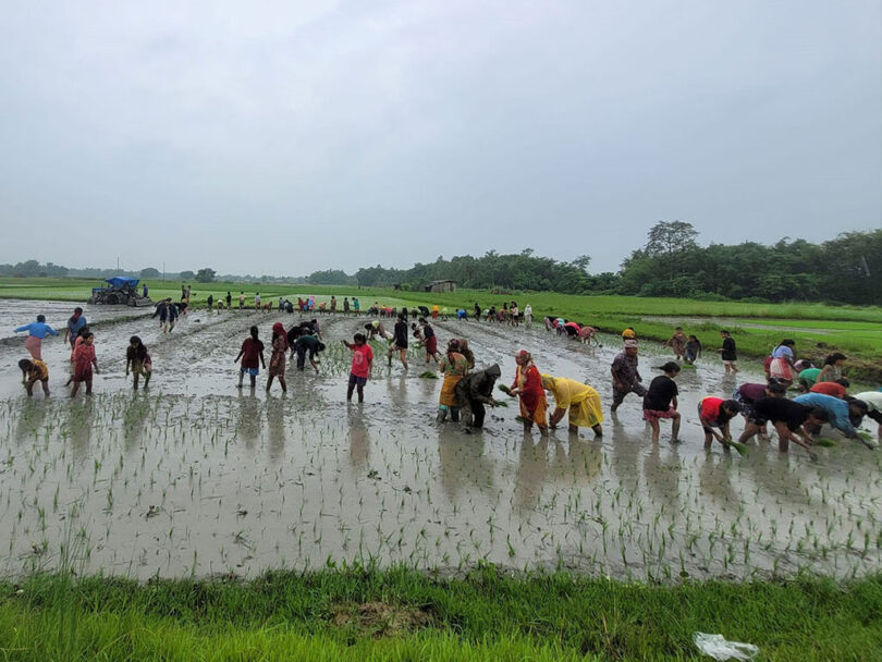 देशभरका २६ लाख किसानको सूचीकरण